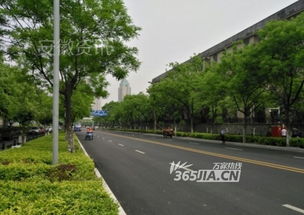 蕪湖路微光志 精品工程改造中的倔強(qiáng)與溫柔
